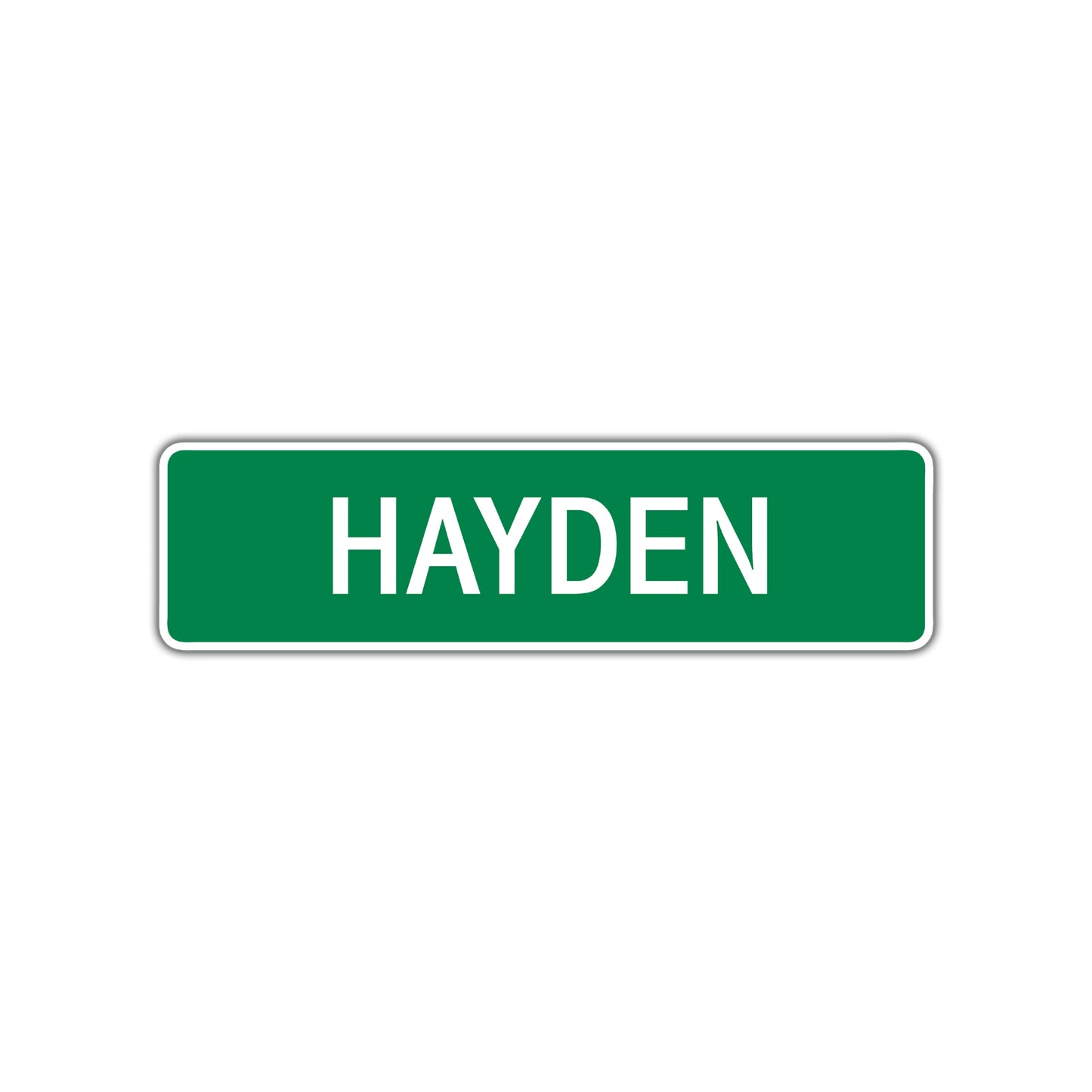 Hayden Street Sign Children Name Room Plate