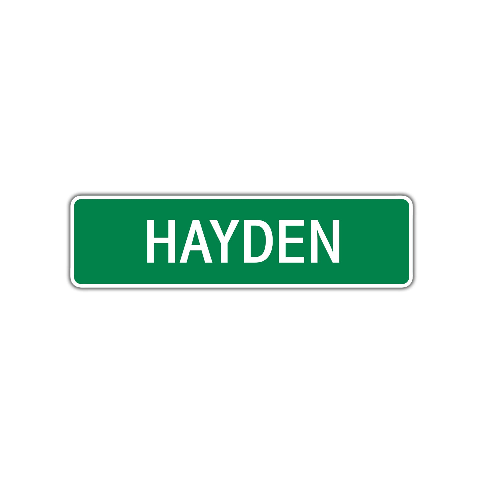 Hayden Street Sign Children Name Room Plate
