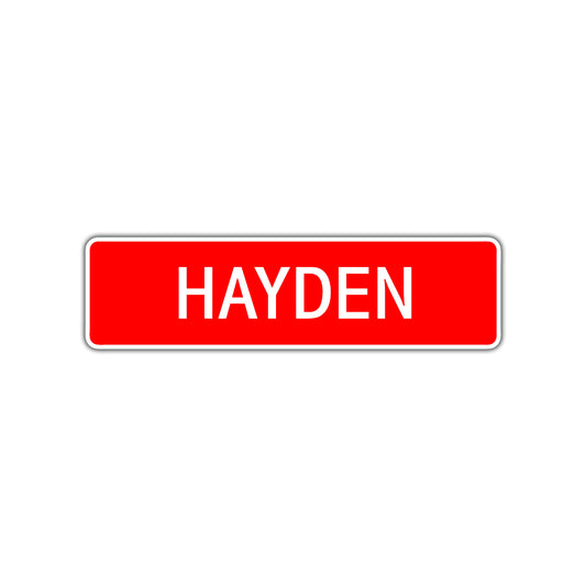 Hayden Street Sign Children Name Room Plate