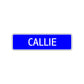 Callie Street Sign Children Name Room Plate