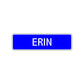 Erin Street Sign Children Name Room Plate