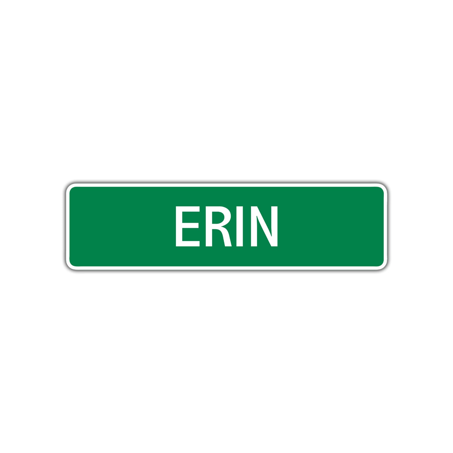 Erin Street Sign Children Name Room Plate