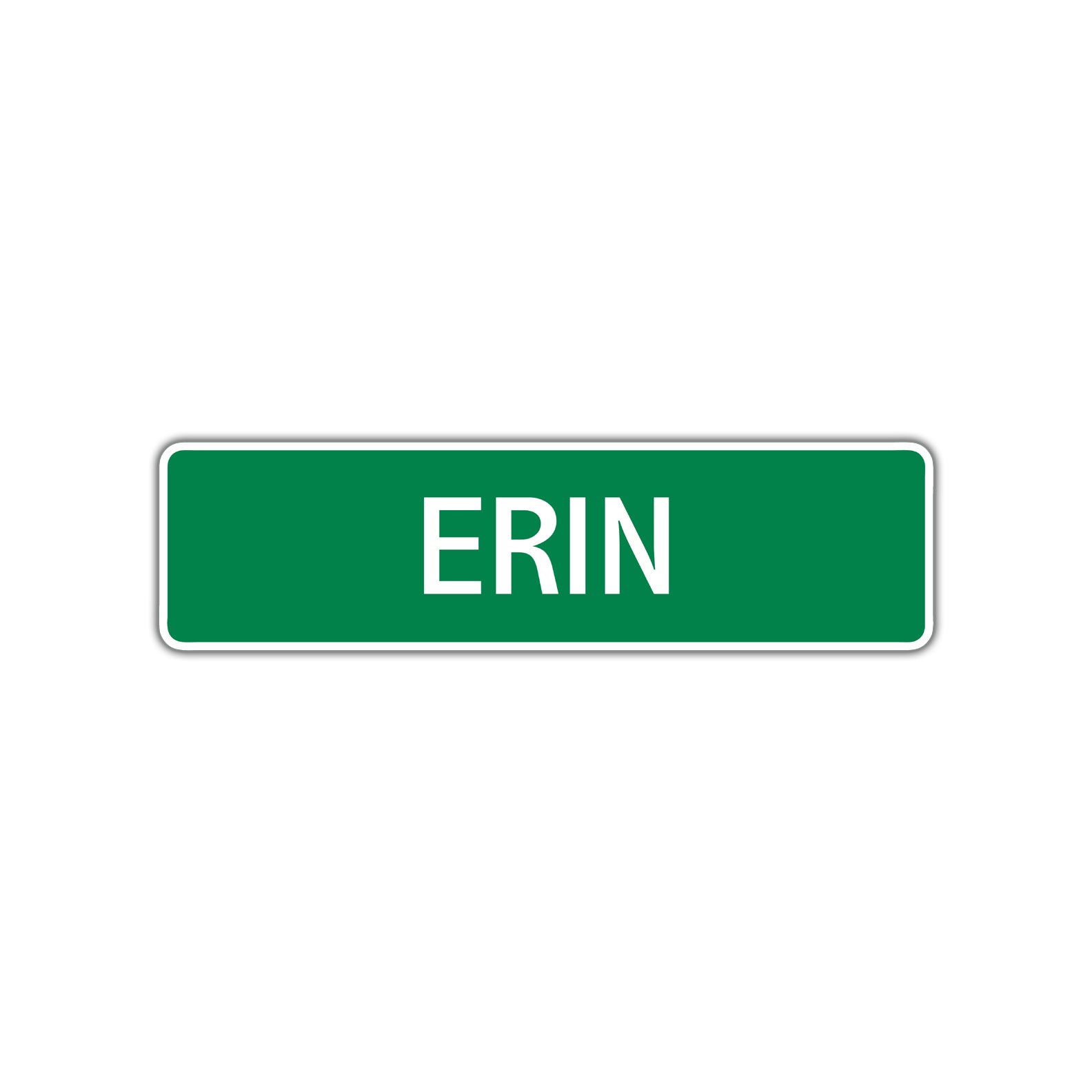 Erin Street Sign Children Name Room Plate