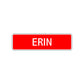 Erin Street Sign Children Name Room Plate