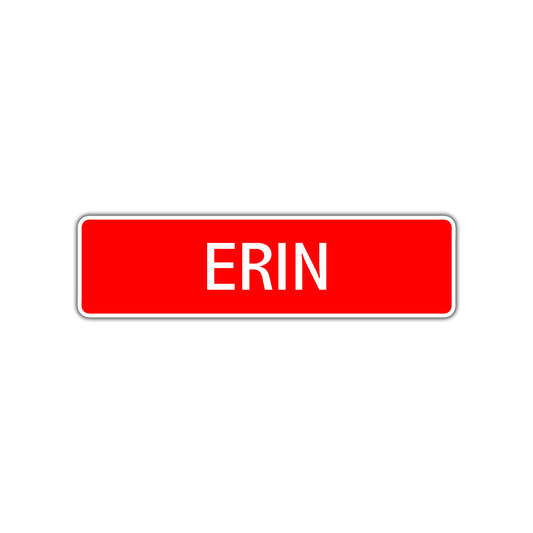 Erin Street Sign Children Name Room Plate
