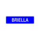 Briella Street Sign Children Name Room Plate