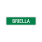 Briella Street Sign Children Name Room Plate