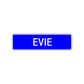Evie Street Metal Sign Plate