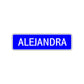 Alejandra Street Metal Sign Plate