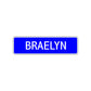 Braelyn Street Metal Sign Plate