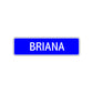 Briana Street Metal Sign Plate