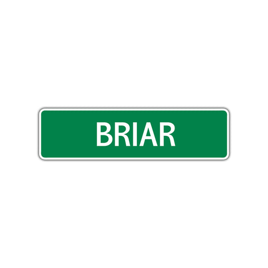 Briar Street Sign 