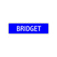 Bridget Street Metal Sign Plate