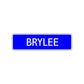 Brylee Street Metal Sign Plate