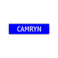 Camryn Street Metal Sign Plate
