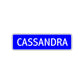 Cassandra Street Metal Sign Plate