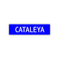 Cataleya Street Metal Sign Plate
