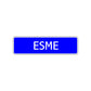 Esme Street Metal Sign 