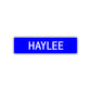 Haylee Street Metal Sign Plate