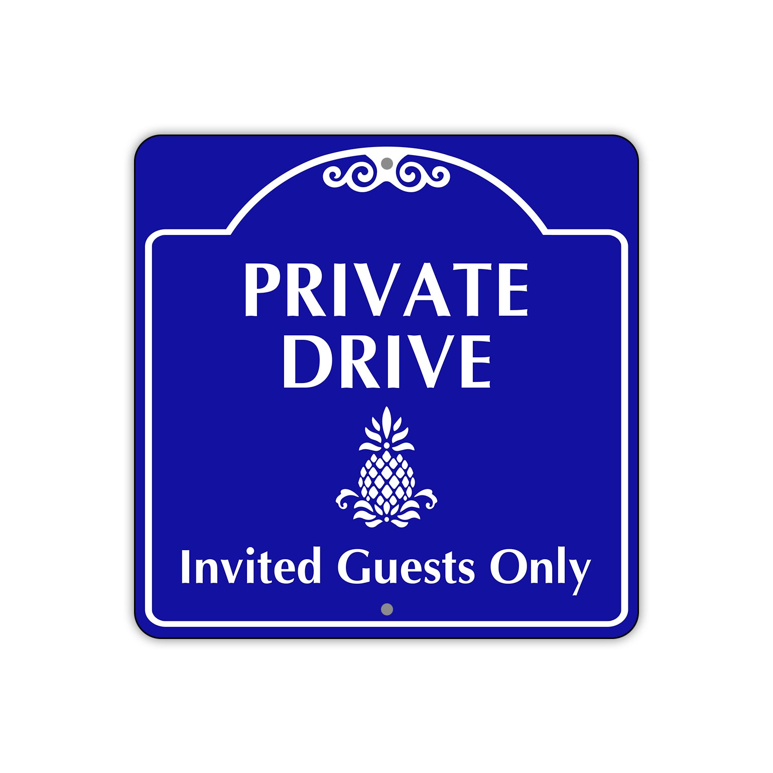 Private Drive Invited Guests Only Metal Sign Plate