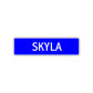 Skyla Street Metal Sign Plate