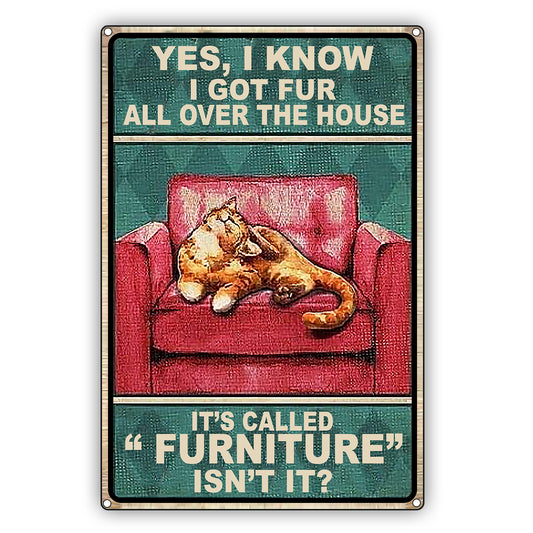 Yes, I Know I Got Fur All Over The House Cat Graphic Vintage Sign