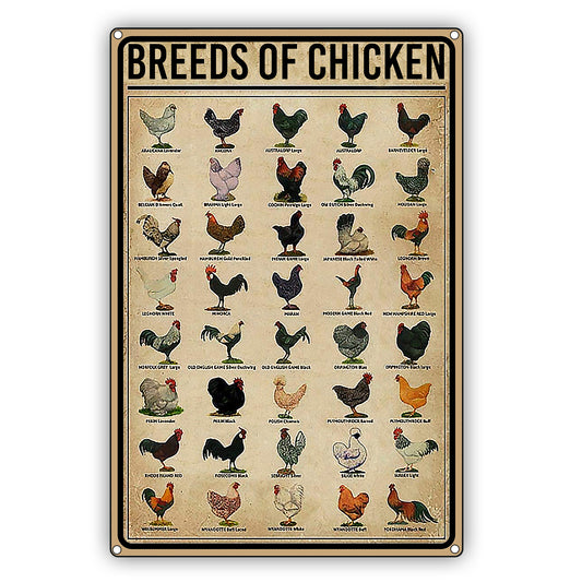 Breeds Of Chicken Vintage Decor Sign
