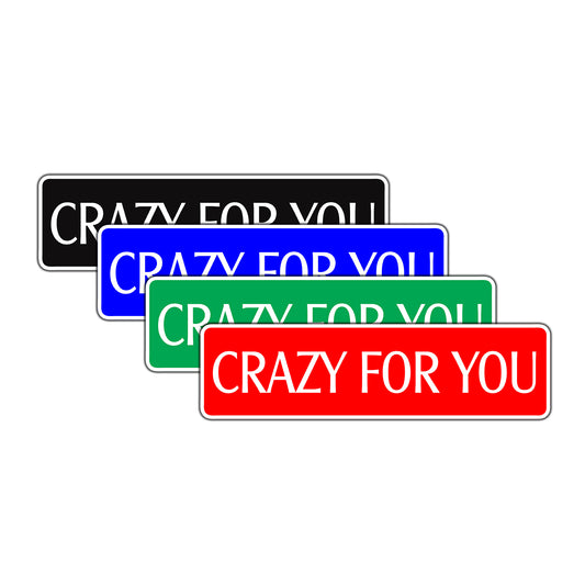 Crazy For You Novelty Sign Novelty Street Metal Plate Wall Decor Aluminum