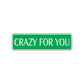 Crazy For You Novelty Sign Novelty Street Metal Plate Wall Decor Aluminum