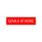 Genius at Work Road Aluminum Metal Novelty Street Plate Sign Wall Gift Decor