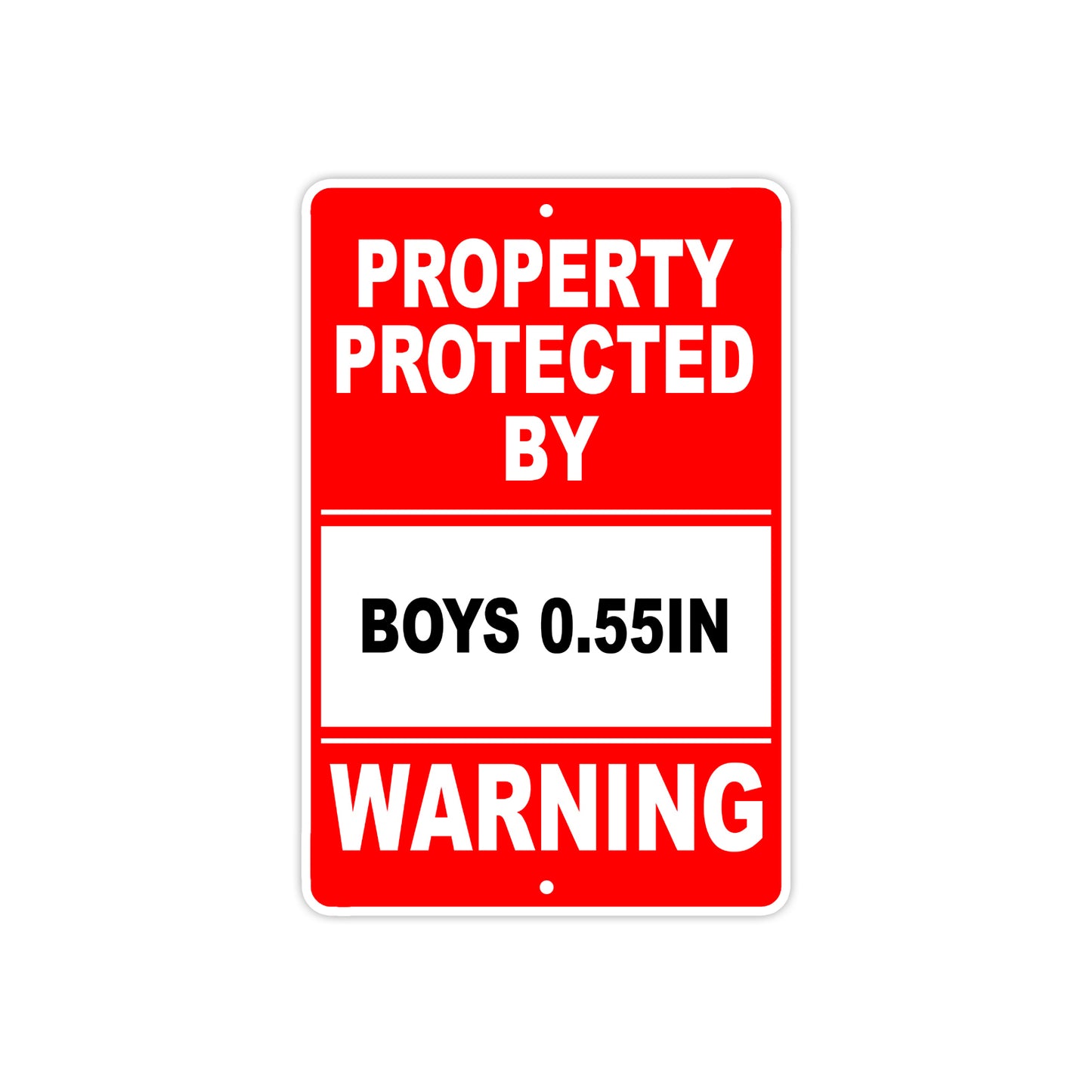 Property Protected by Boys 0.55In Gun Pistol Rifle Revolver Warning Aluminum Metal Plate Sign