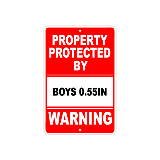 Property Protected by Boys 0.55In Gun Pistol Rifle Revolver Warning Aluminum Metal Plate Sign