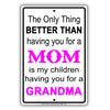 The Only Thing Better Than Having You For A Mom Is My Children Mothers Love Gift Parking Aluminum