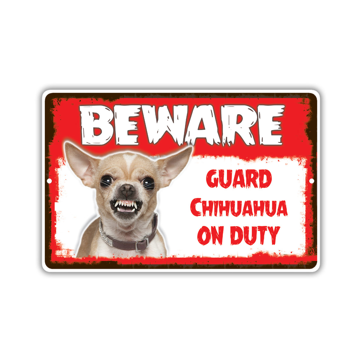Chihuahua Dog Breed Signs