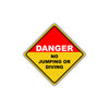 Caution Danger No Jumping or Diving Shallow Water Pool Metal Alert Aluminum Novelty Notice Sign