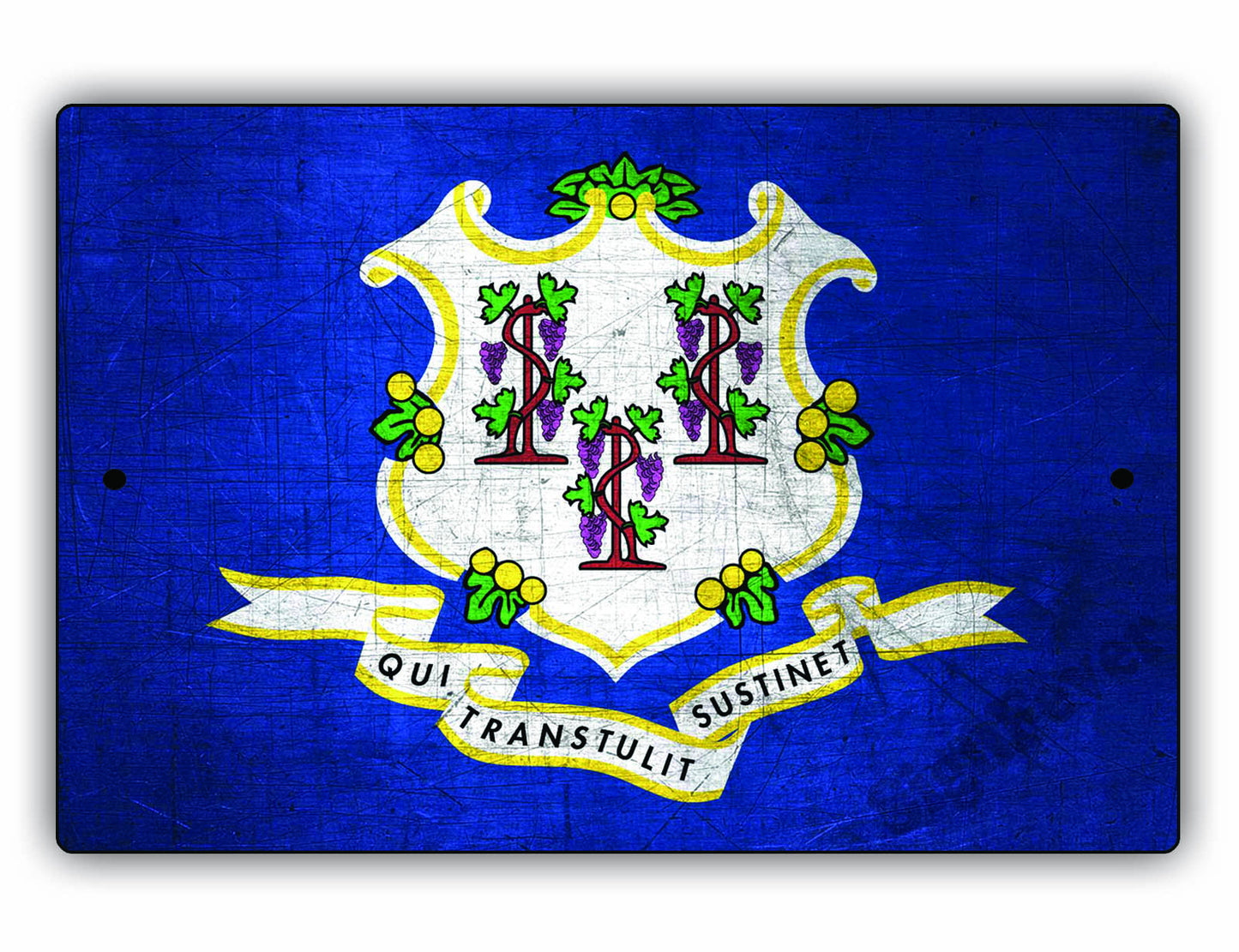 Connecticut State Flag Novelty Vintage Rustic Grunge Wall Decor Gift Aluminum Metal Sign Plate