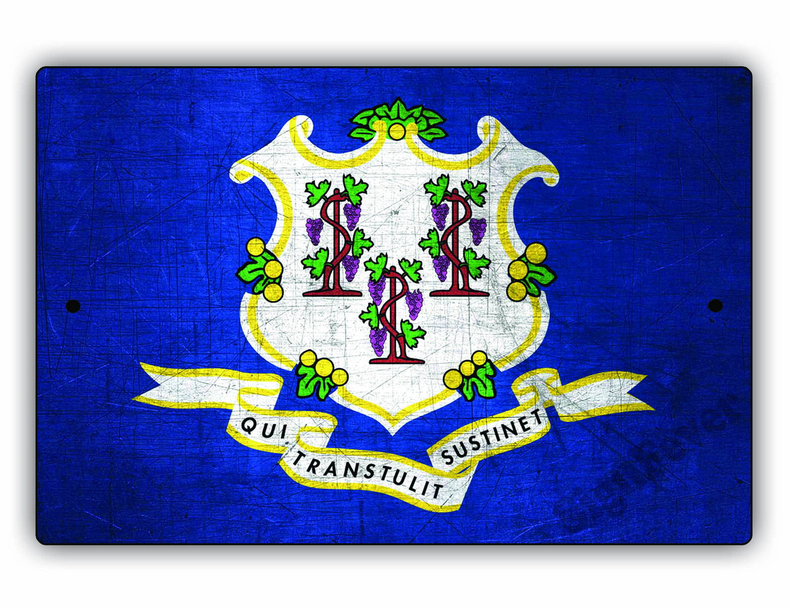 Connecticut State Flag Novelty Vintage Rustic Grunge Wall Decor Gift Aluminum Metal Sign Plate